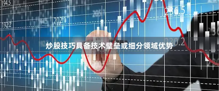 炒股技巧具备技术璧垒或细分领域优势