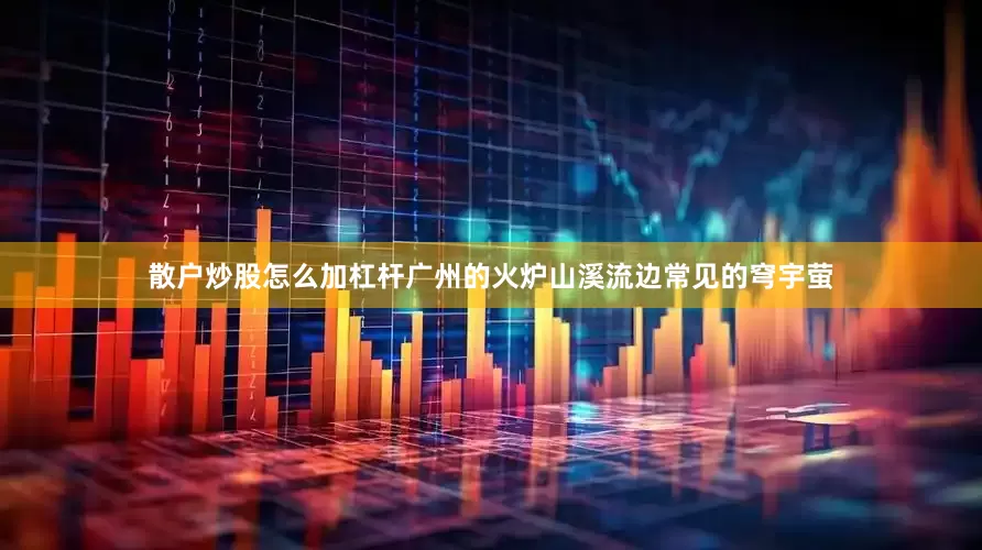 散户炒股怎么加杠杆广州的火炉山溪流边常见的穹宇萤