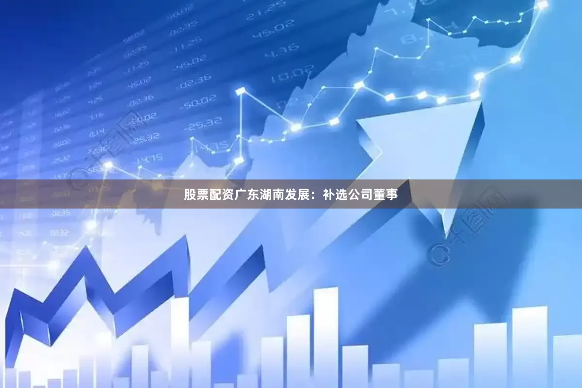 股票配资广东湖南发展：补选公司董事