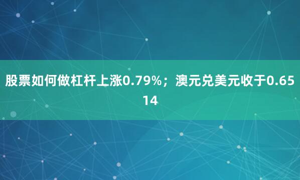 股票如何做杠杆上涨0.79%；澳元兑美元收于0.6514