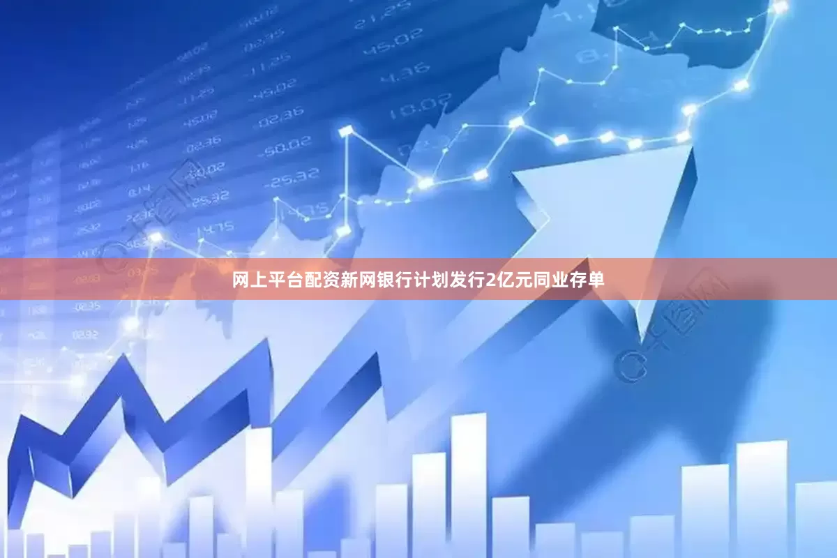 网上平台配资新网银行计划发行2亿元同业存单