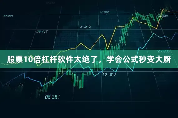 股票10倍杠杆软件太绝了，学会公式秒变大厨